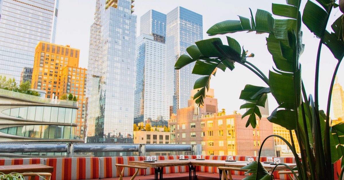 Creatures Rooftop